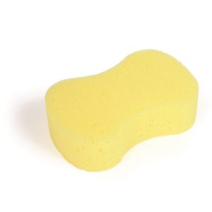 Sponge Yellow